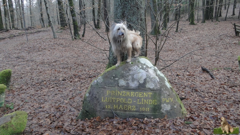 Ritterstein Nr. 136-4 Prinzregent Luitpold Linde 12. März 1911.JPG - Ritterstein Nr. 136 Prinzregent Luitpold Linde 12. März 1911                               